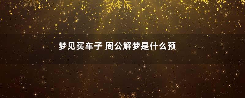 梦见买车子 周公解梦是什么预兆